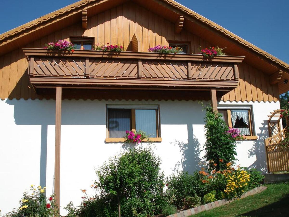 Ferienwohnungen Schellein Blaibach Экстерьер фото